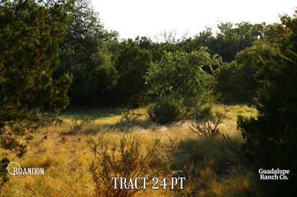 Undeveloped Land for sale in Schleicher County, Texas