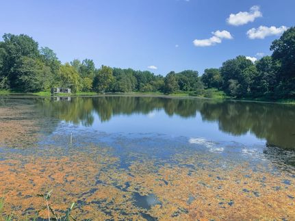 Timberland Property for sale in Obion County, Tennessee