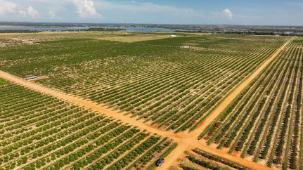 Waterfront Property for sale in Polk County, Florida
