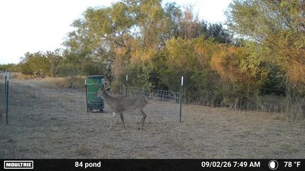 Land for sale in Zapata County, Texas