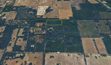 Land for sale in Levy County, Florida