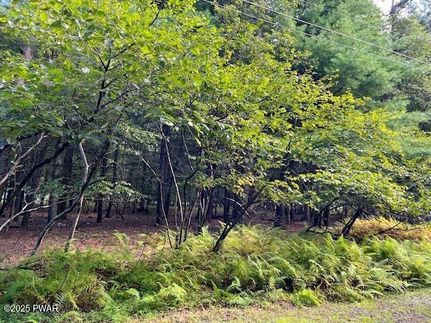 Land for sale in Pike County, Pennsylvania