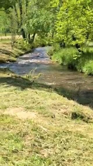 Farm and Ranch for sale in Union County, Georgia