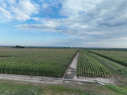 Land for sale in Phelps County, Nebraska