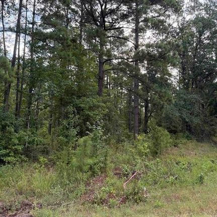 Land for sale in Grant County, Arkansas