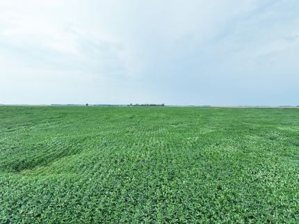 Land for sale in Wells County, North Dakota