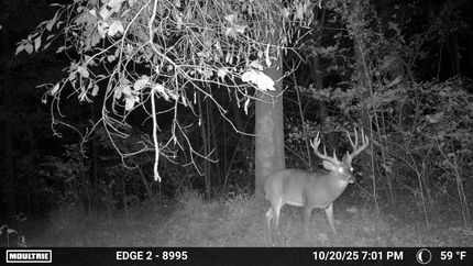 Land for sale in Jackson County, Illinois
