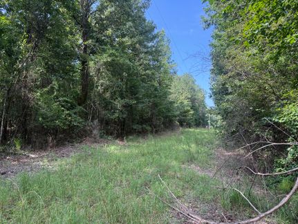 Farm and Ranch for sale in Lamar County, Alabama