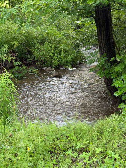Homesite for sale in Chenango County, New York