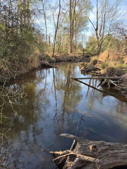Land for sale in Jackson County, Arkansas