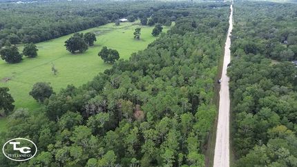Land for sale in Levy County, Florida