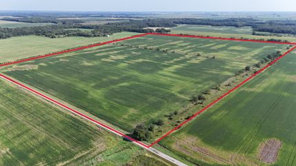 Land for sale in Iroquois County, Illinois