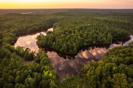 Farm and Ranch for sale in Cass County, Texas