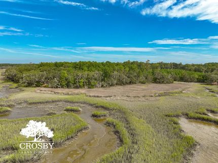 Land for sale in McIntosh County, Georgia