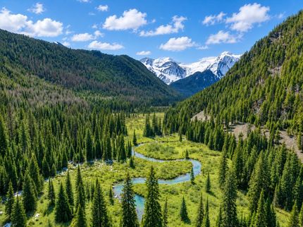 Land for sale in Flathead County, Montana