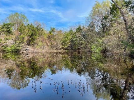 Undeveloped Land for sale in Fannin County, Texas