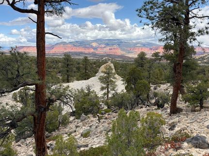 Land for sale in Wayne County, Utah