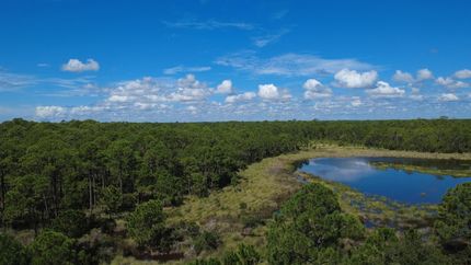Land for sale in Franklin County, Florida