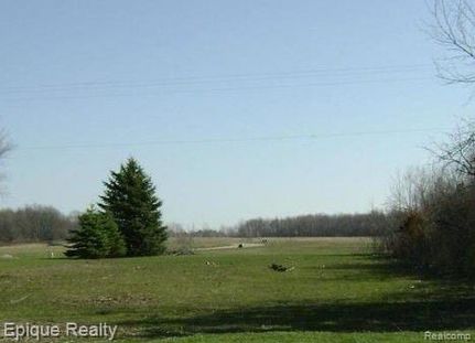 Undeveloped Land for sale in Genesee County, Michigan