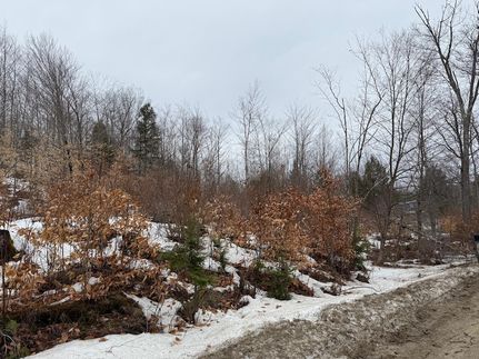 Timberland Property for sale in Oxford County, Maine