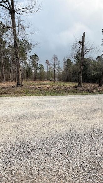 Homesite for sale in San Jacinto County, Texas