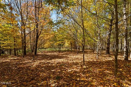 Land for sale in Johnson County, Tennessee