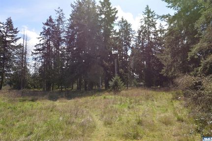 Undeveloped Land for sale in Clallam County, Washington