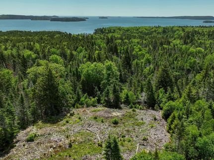Land for sale in Washington County, Maine