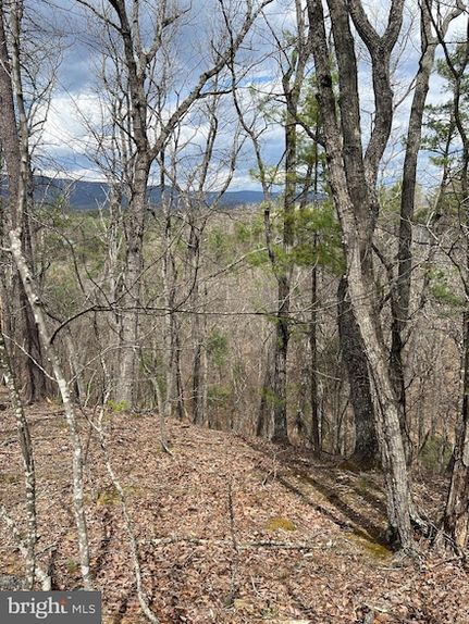Undeveloped Land for sale in Shenandoah County, Virginia