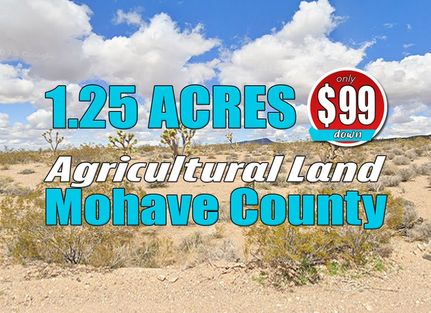 Homesite for sale in Mohave County, Arizona