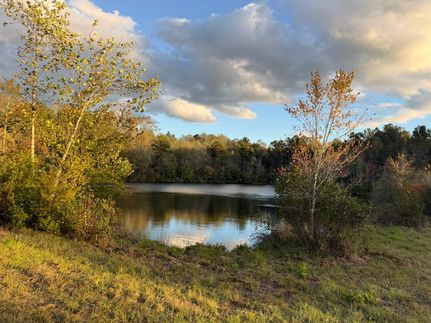 Land for sale in Barbour County, Alabama