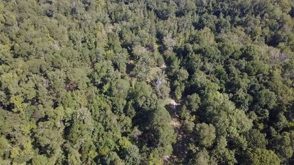 Riverfront Property for sale in Johnson County, Georgia