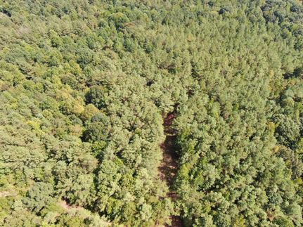 Land for sale in Hardeman County, Tennessee
