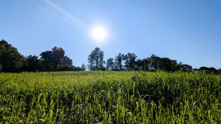 Land for sale in Perry County, Ohio