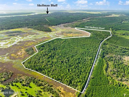 Undeveloped Land for sale in McIntosh County, Georgia