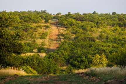 Recreational Property for sale in Callahan County, Texas