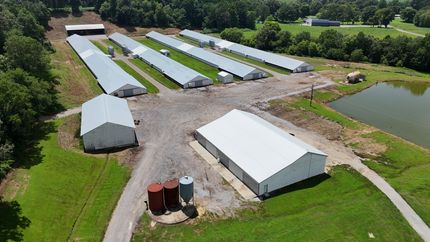 Land for sale in Webster County, Kentucky