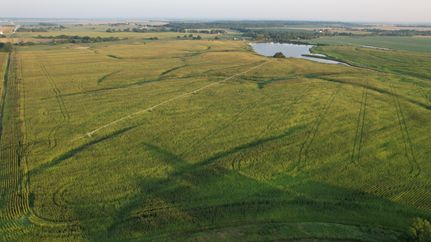 Land for sale in Barton County, Missouri