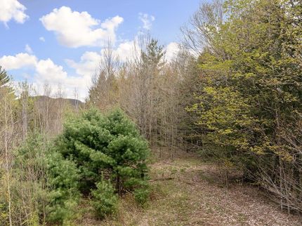 Land for sale in Lamoille County, Vermont