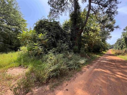 Land for sale in Marion County, Texas