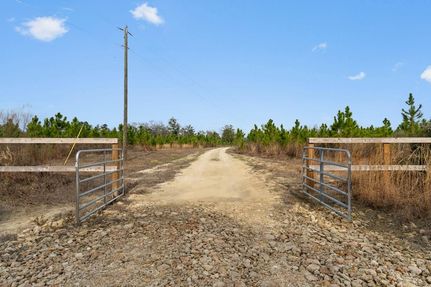 Undeveloped Land for sale in Walton County, Florida