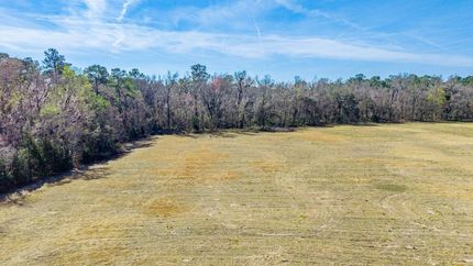 Undeveloped Land for sale in Alachua County, Florida