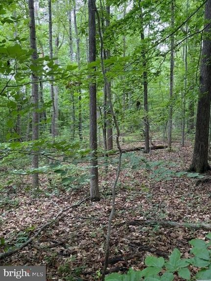 Undeveloped Land for sale in Spotsylvania County, Virginia