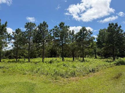 Undeveloped Land for sale in Galveston County, Texas