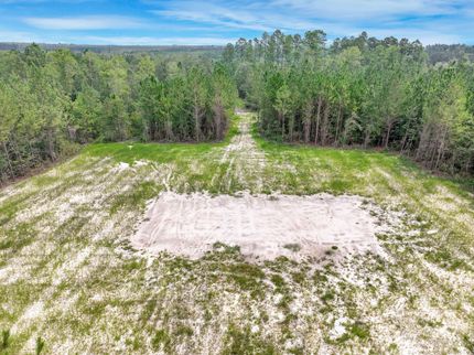 Undeveloped Land for sale in Brantley County, Georgia