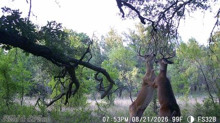 Land for sale in Brown County, Texas