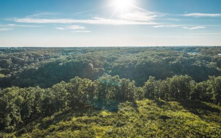 Timberland Property for sale in Phelps County, Missouri