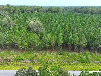 Land for sale in Camden County, Georgia