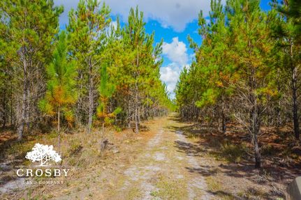 Recreational Property for sale in Long County, Georgia