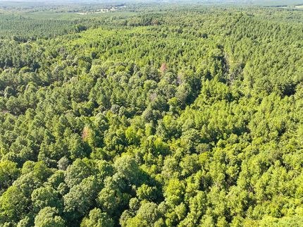 Timberland Property for sale in Sevier County, Arkansas